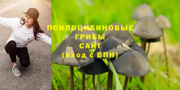 тгк Алексеевка