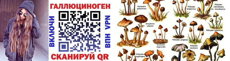 мега tor Джанкой Псилоцибиновые грибы Psilocybe